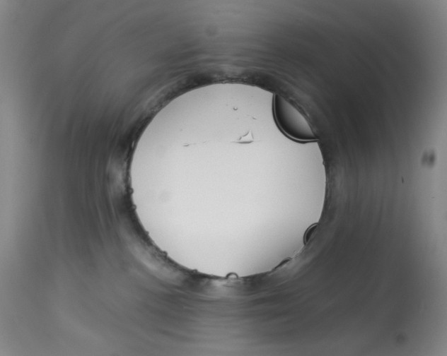 X0000113150188200910021511