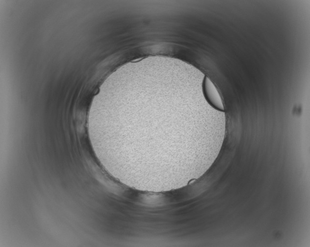 X0000113150189200910021511