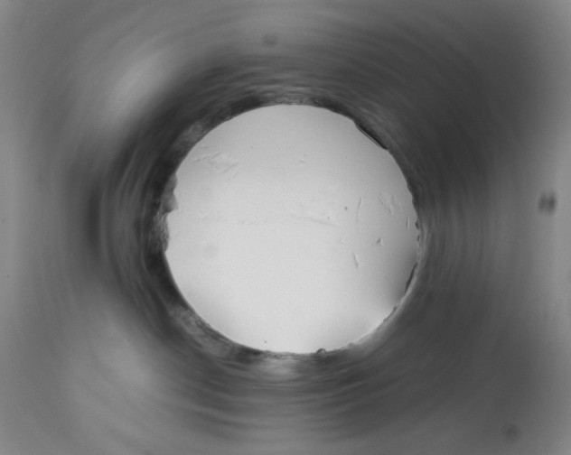 X0000113150190200910021511