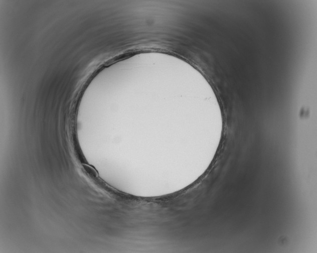 X0000113150193200910021510