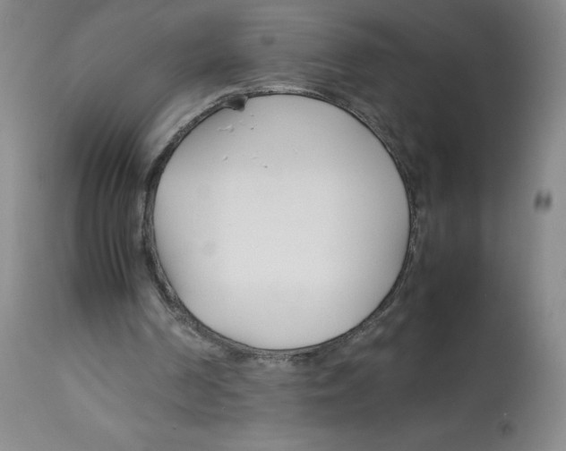 X0000113150194200910021510