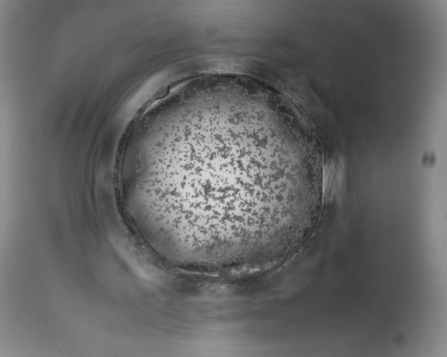 X0000113150195200910021510