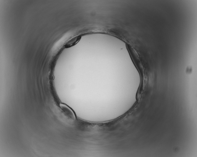 X0000113150197200910021510