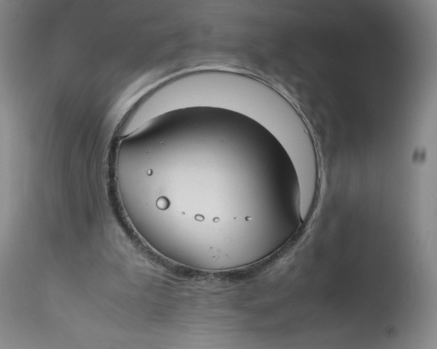 X0000113150199200910021510