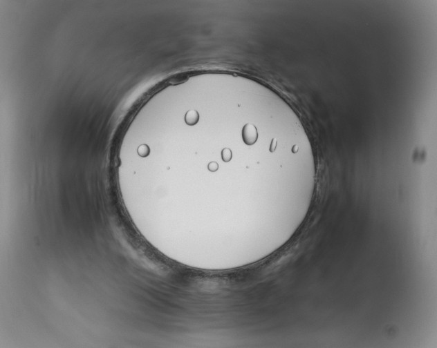 X0000113150200200910021510