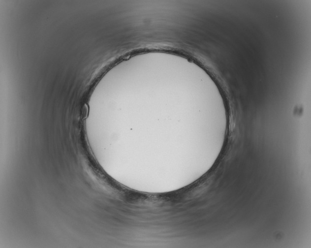 X0000113150201200910021510