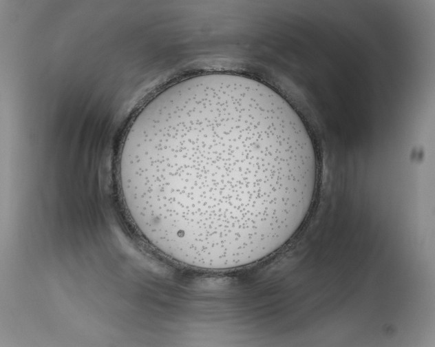 X0000113150202200910021510