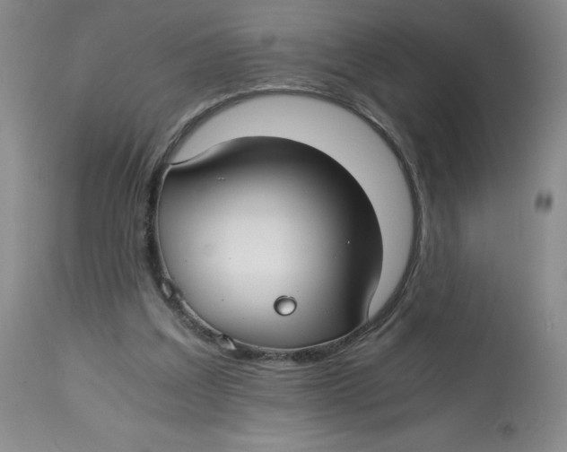 X0000113150203200910021510