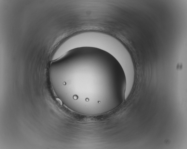 X0000113150207200910021510