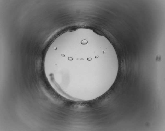 X0000113150208200910021510