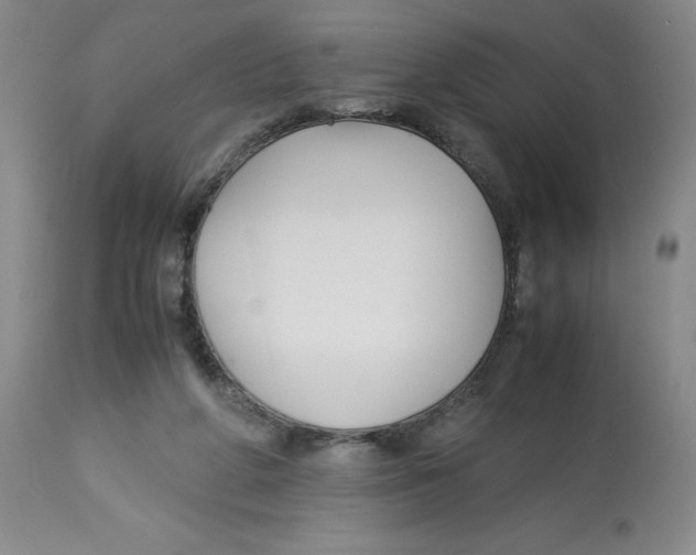 X0000113150210200910021510