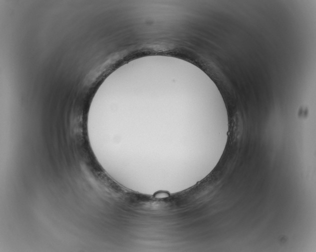 X0000113150212200910021510