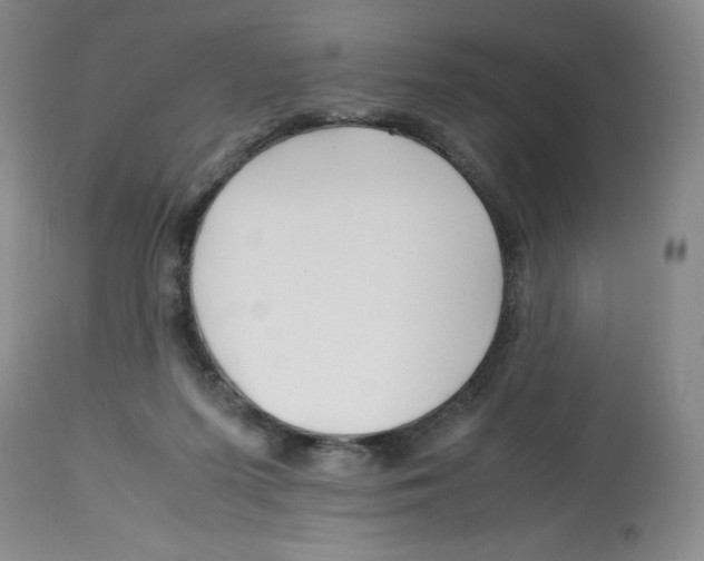 X0000113150215200910021510