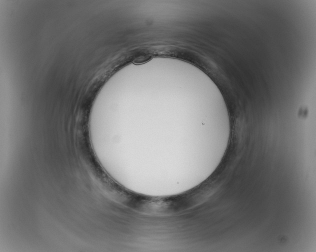 X0000113150217200910021510