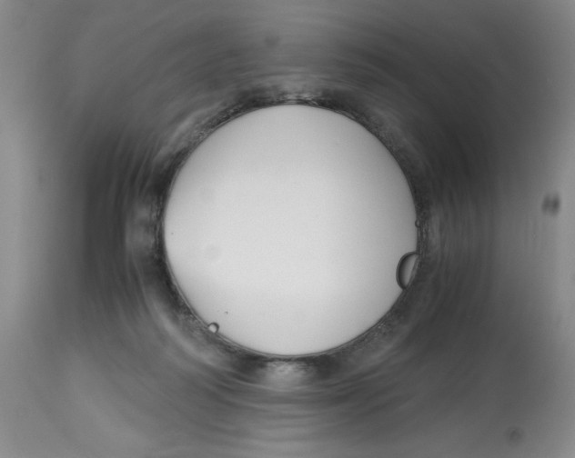 X0000113150218200910021510