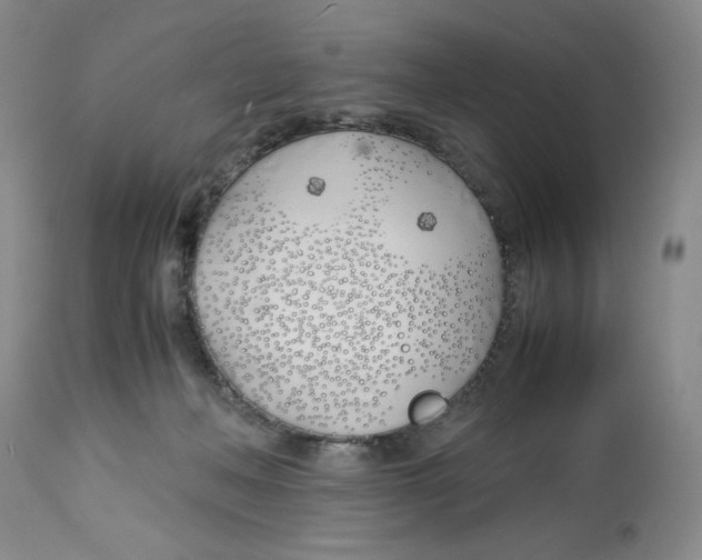 X0000113150222200910021510