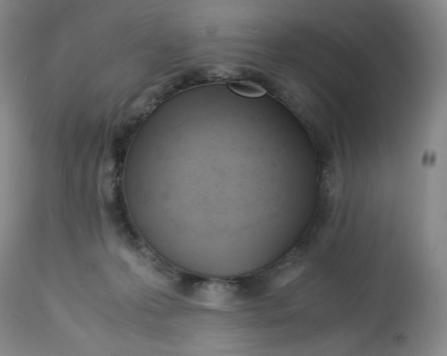 X0000113150223200910021510