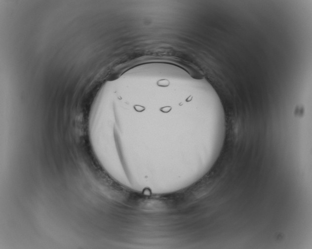 X0000113150224200910021510