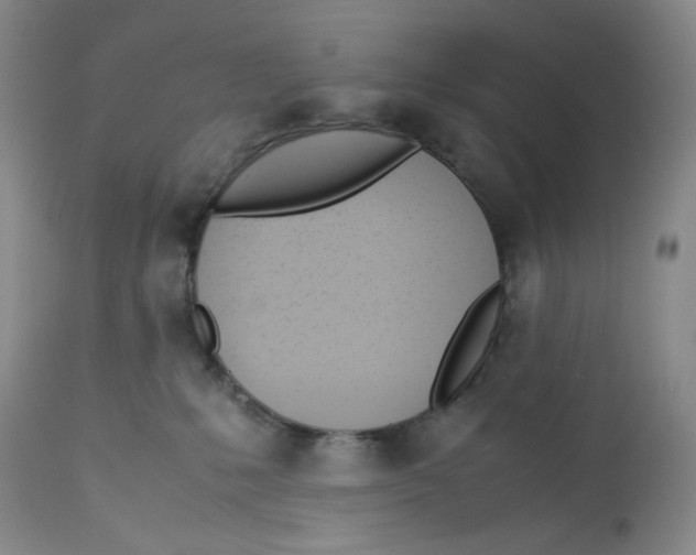 X0000113150231200910021510