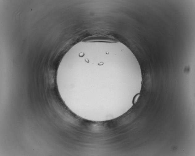 X0000113150232200910021510