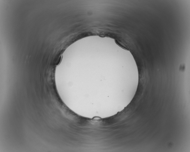 X0000113150233200910021510