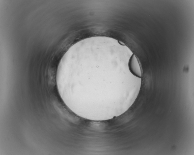 X0000113150234200910021510