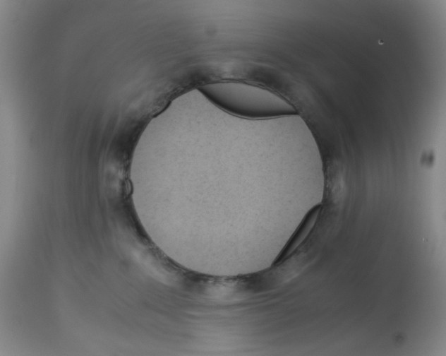 X0000113150235200910021510