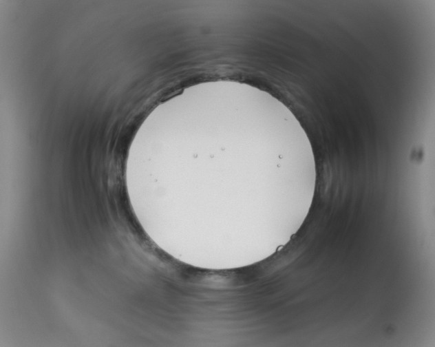 X0000113150236200910021510