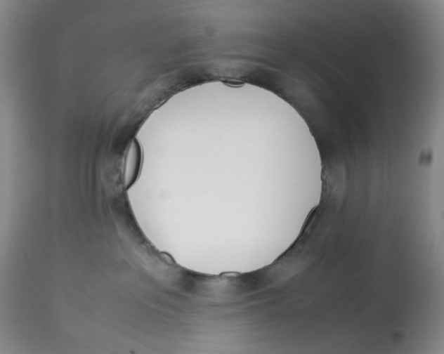 X0000113150237200910021510