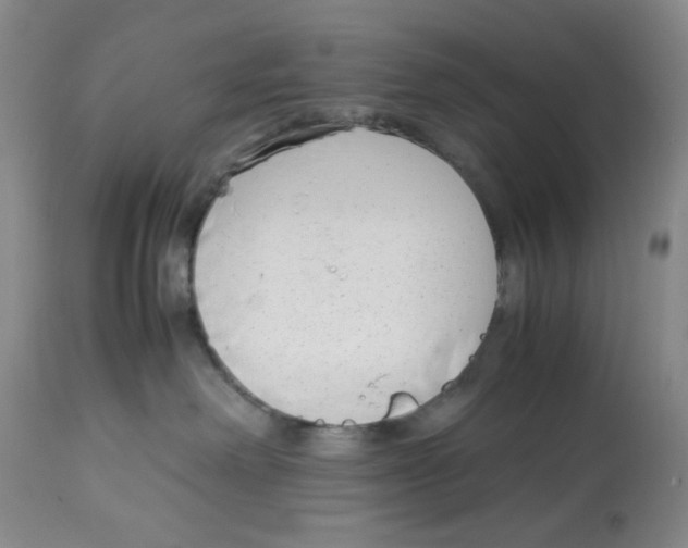 X0000113150238200910021510