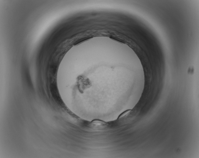 X0000113150239200910021510