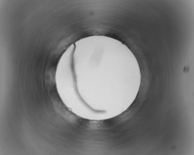 X0000113150240200910021510