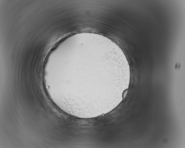 X0000113150241200910021509