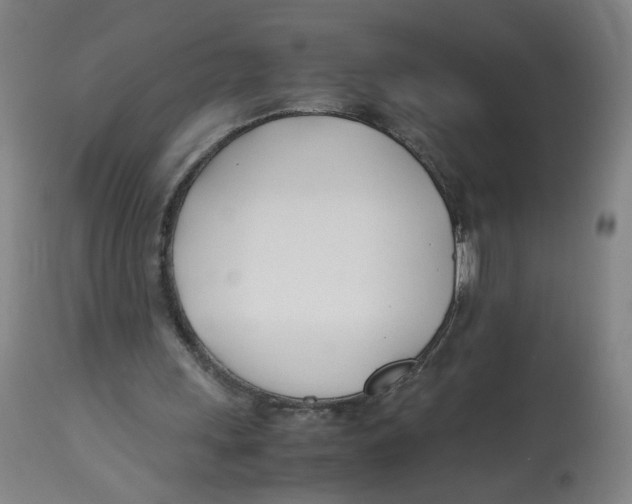 X0000113150243200910021509