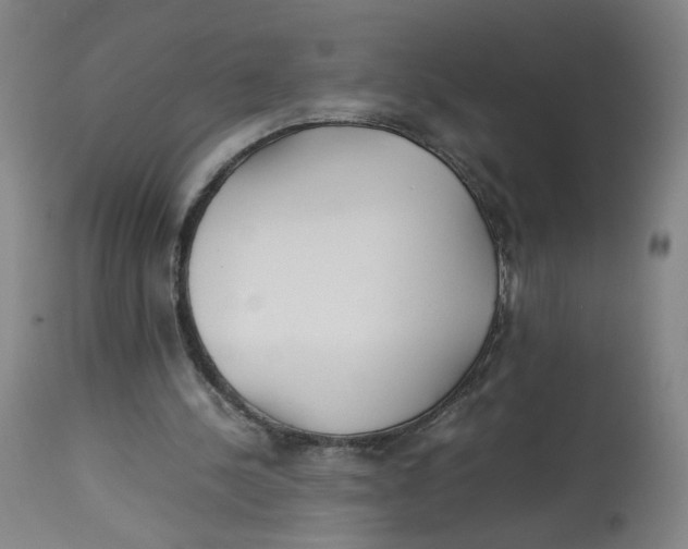 X0000113150244200910021509