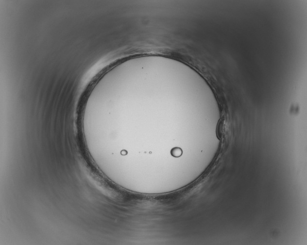 X0000113150246200910021509