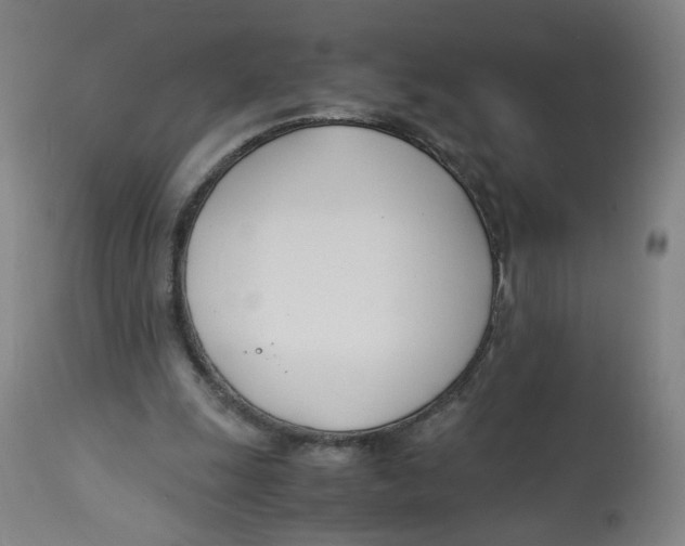 X0000113150247200910021509