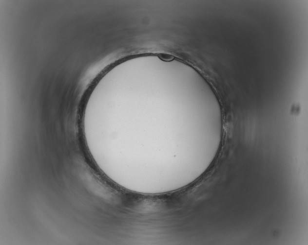 X0000113150248200910021509