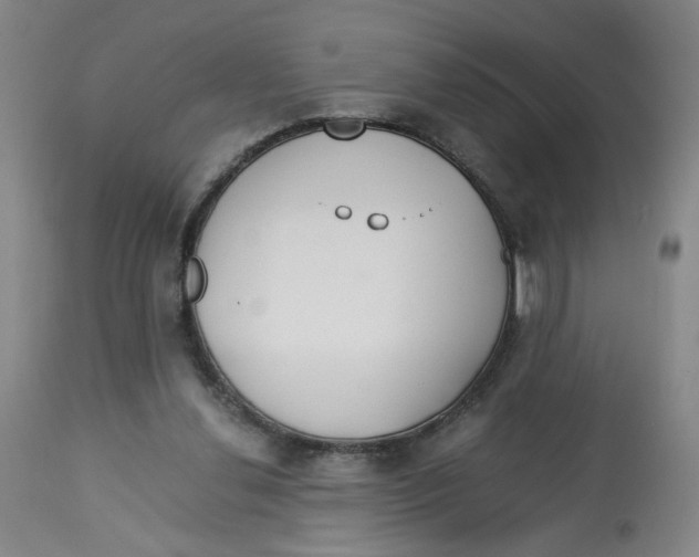 X0000113150252200910021509