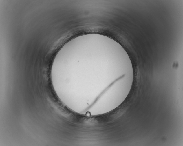 X0000113150258200910021509