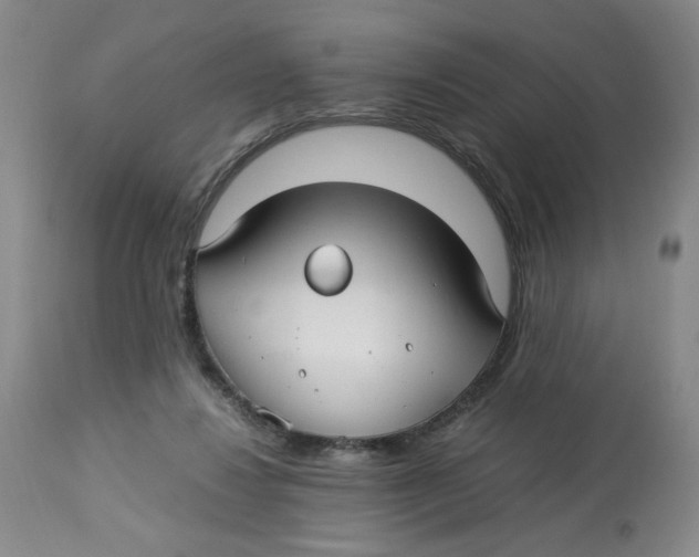 X0000113150260200910021509