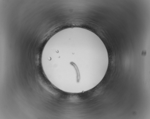 X0000113150262200910021509