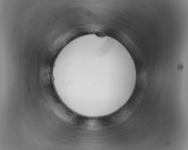 X0000113150264200910021509