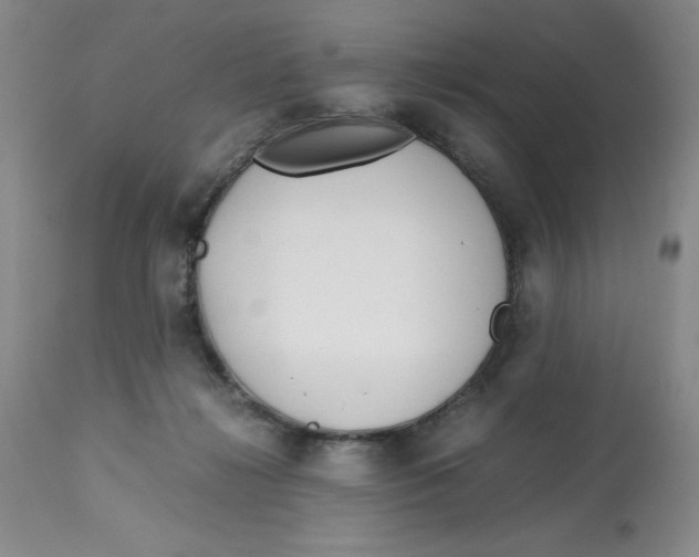 X0000113150268200910021509