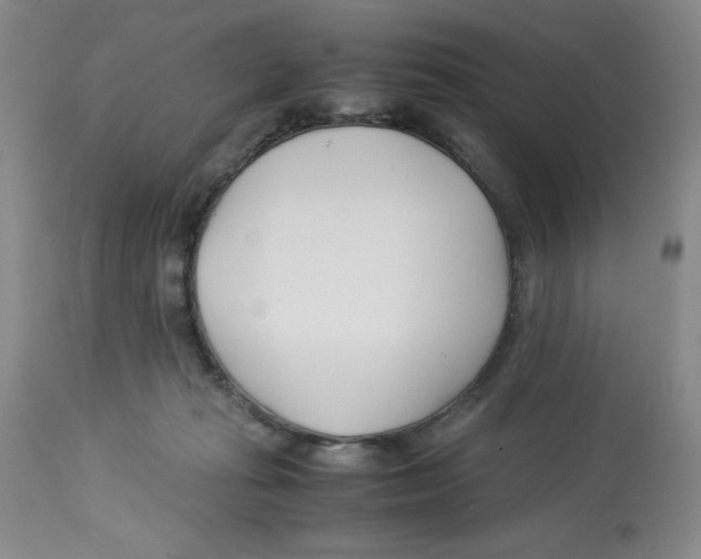 X0000113150269200910021509