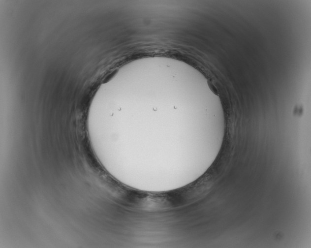 X0000113150270200910021509