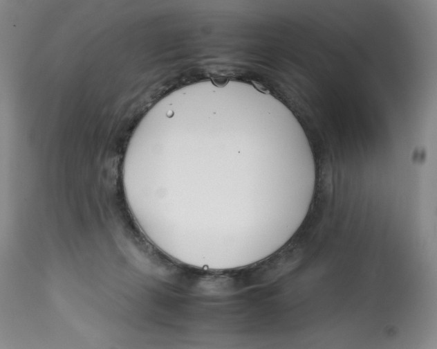 X0000113150271200910021509