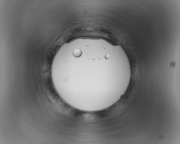 X0000113150272200910021509