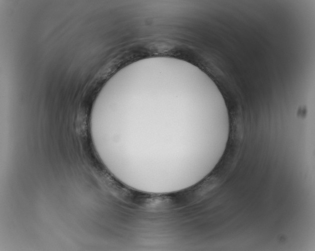 X0000113150274200910021509