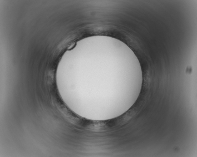 X0000113150278200910021510